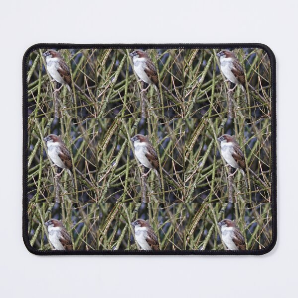 Item preview, house sparrow designed and sold by KathleenDawson.