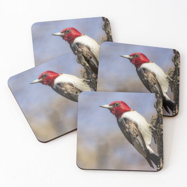 Item preview, On the Lookout designed and sold by Christi Bushby.