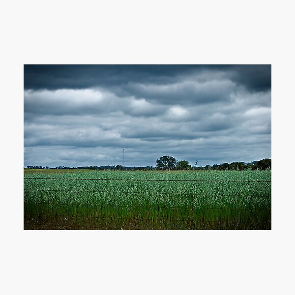 Item preview, Farmland designed and sold by Damiend.