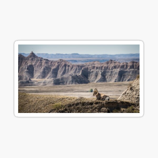 Badlands National Park Sticker