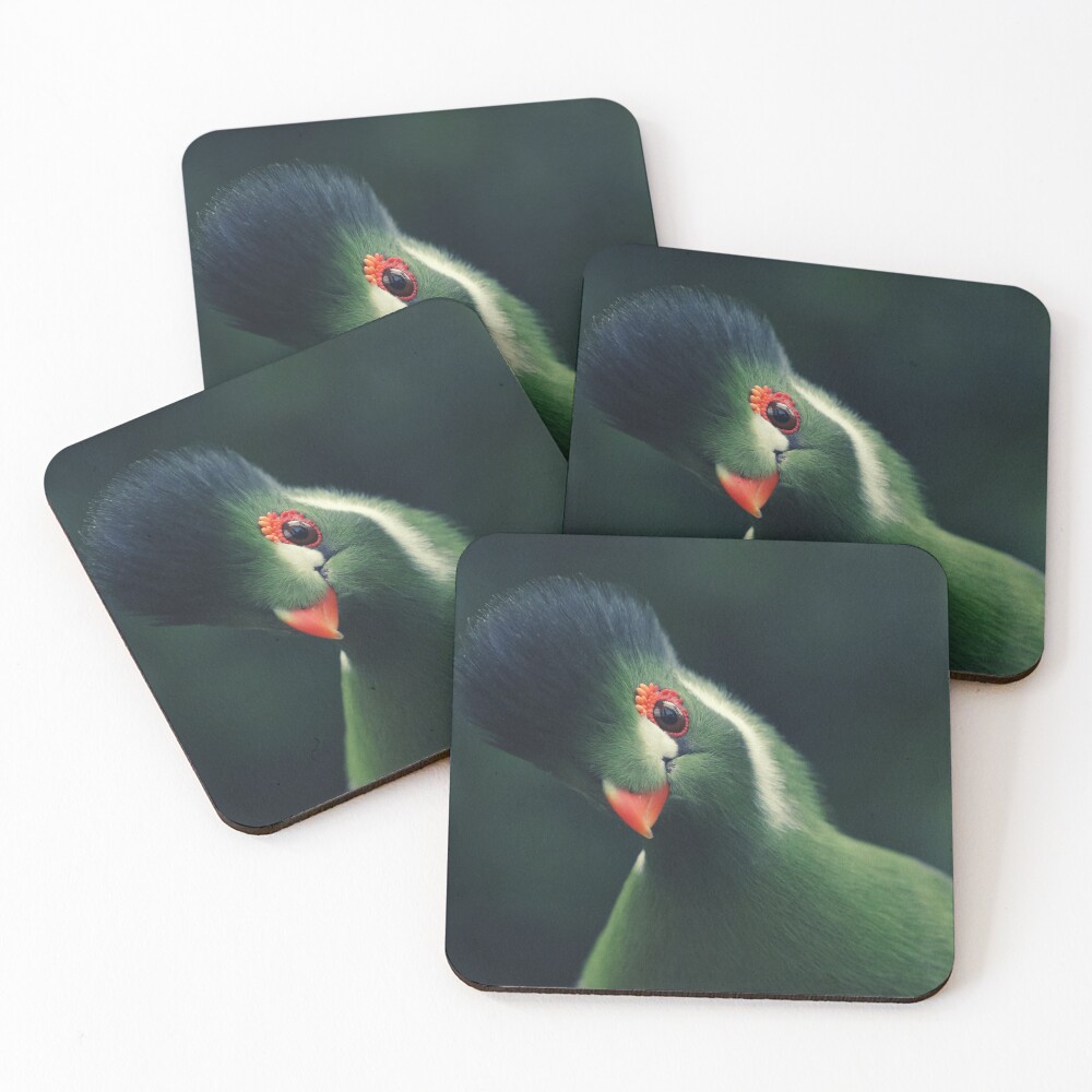 Item preview, Coasters (Set of 4) designed and sold by PhytonJava.