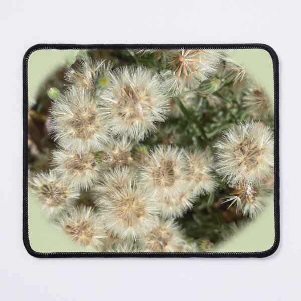 Item preview, White fluff designed and sold by indiafrankk.