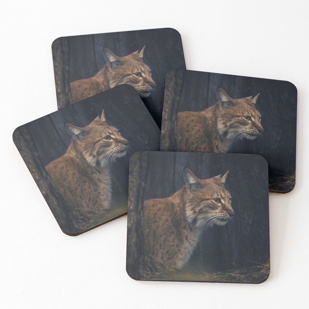 Item preview, Coasters (Set of 4) designed and sold by PhytonJava.