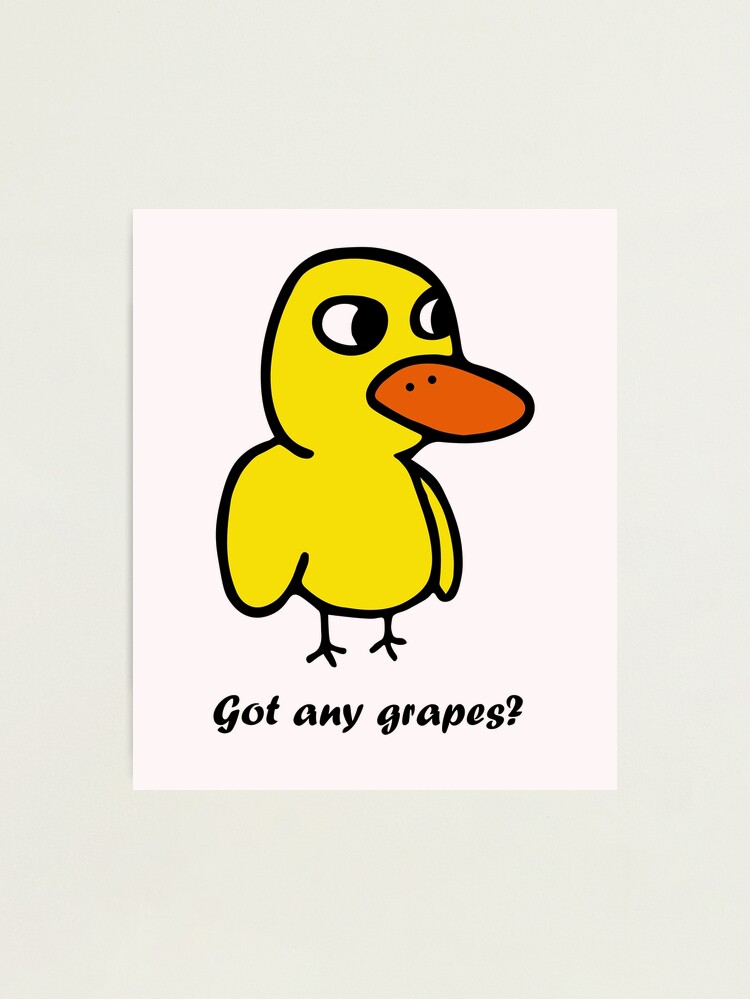 Got Any Grapes Shirt, Funny Duck Lover Shirt, The Duck Song Shirt