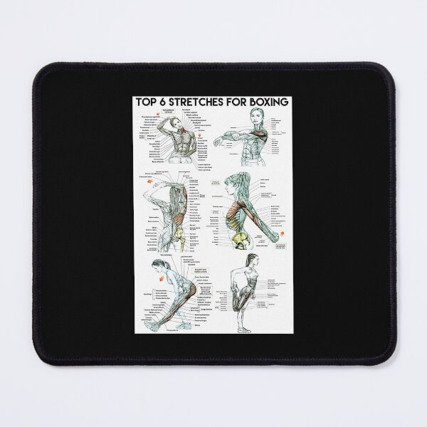 Item preview, Female Top 6 stretches for boxing designed and sold by SEANPARKERAU.