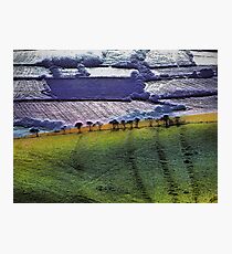 Rolling Hills Photographic Print