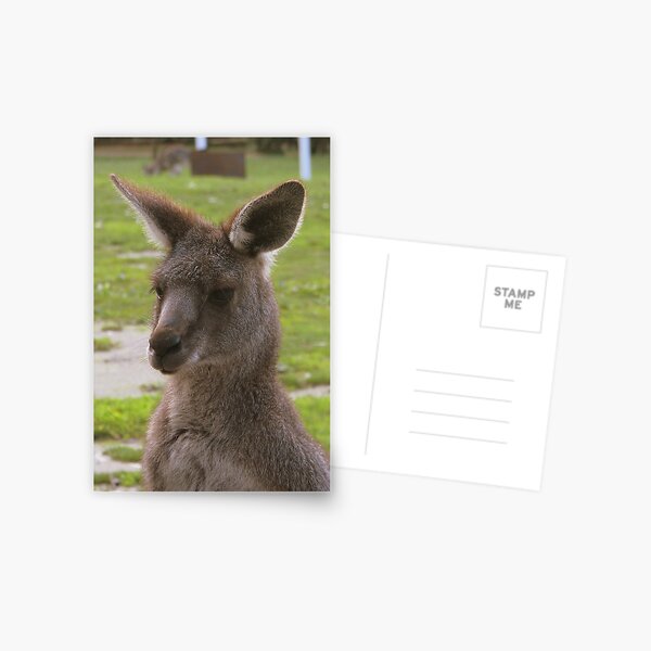 Item preview, Kangaroo designed and sold by Robert Jenner.
