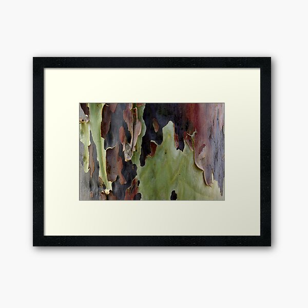 Blistering Gum Bark Framed Art Print