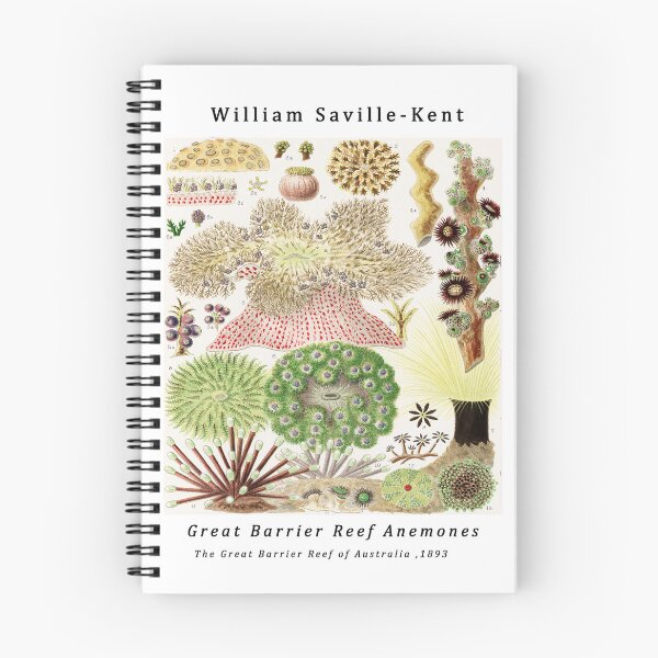 Item preview, Great Barrier Reef Anemones from The Great Barrier Reef of Australia  by William Saville Kent  ,the great barrier reef of australia, the great barrier reef,coral in the great barrier reef, designed and sold by Tamas Das.