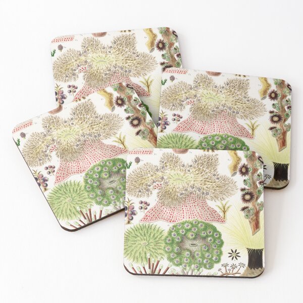 Item preview, Great Barrier Reef Anemones from The Great Barrier Reef of Australia  by William Saville Kent  ,the great barrier reef of australia, the great barrier reef,coral in the great barrier reef, designed and sold by Tamas Das.