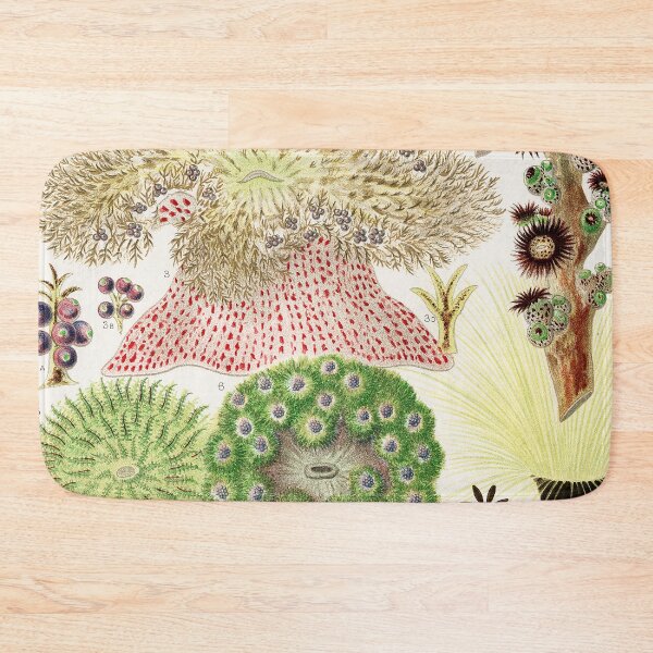 Item preview, Great Barrier Reef Anemones from The Great Barrier Reef of Australia  by William Saville Kent  ,the great barrier reef of australia, the great barrier reef,coral in the great barrier reef, designed and sold by Tamas Das.