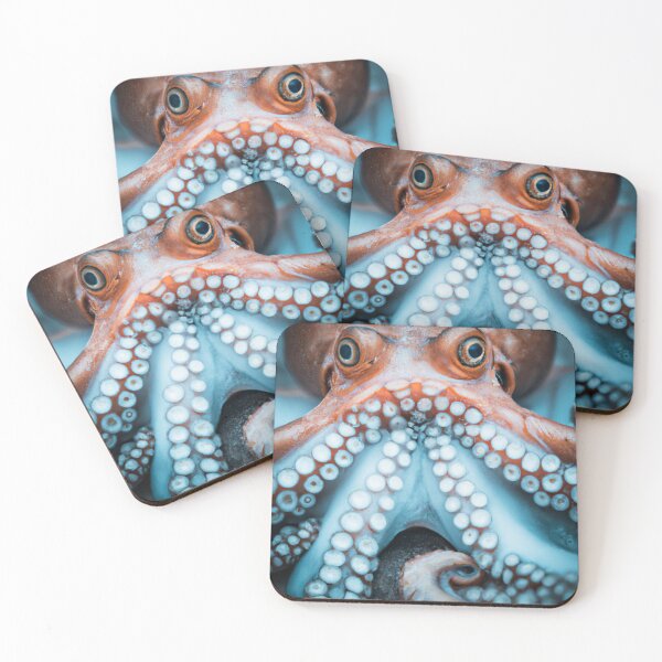 Artikelvorschau, Portrait of an Octopus entworfen und verkauft von Bakesales.