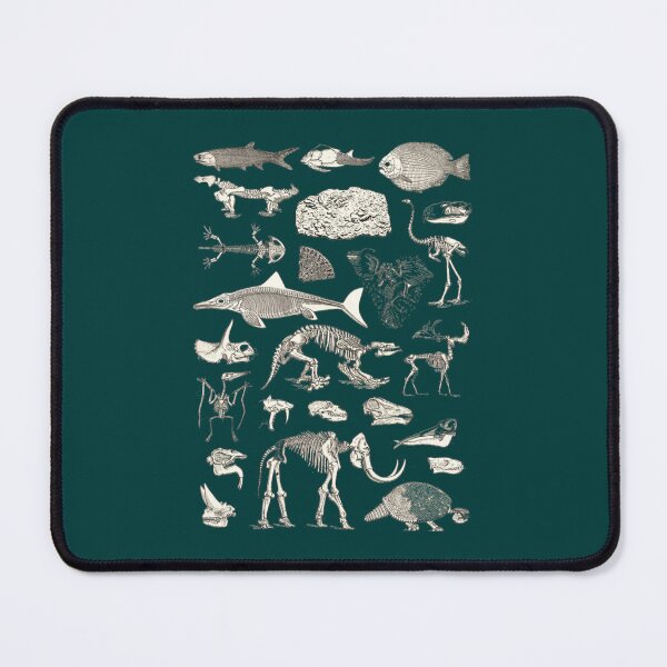 Item preview, Paleontology Illustration designed and sold by YellowBristlesz.