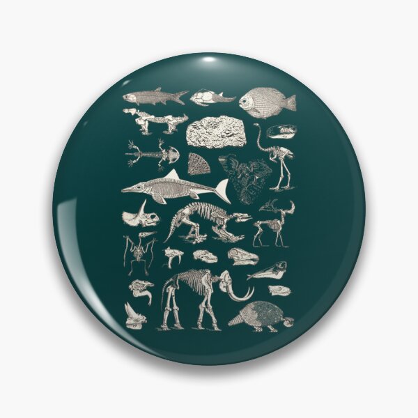 Item preview, Paleontology Illustration designed and sold by YellowBristlesz.