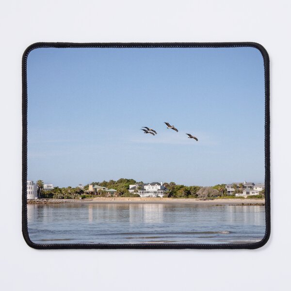 Item preview, Breach Inlet Pelicans | Sullivan's Island | South Carolina designed and sold by 9BPRCP.