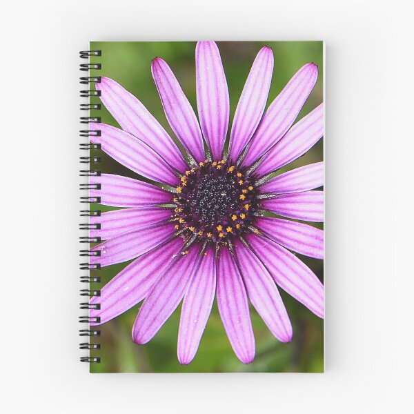 Item preview, Flowers (MKW-F.7) designed and sold by Katrina Morgan.