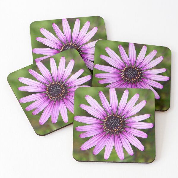 Item preview, Flowers (MKW-F.7) designed and sold by Katrina Morgan.
