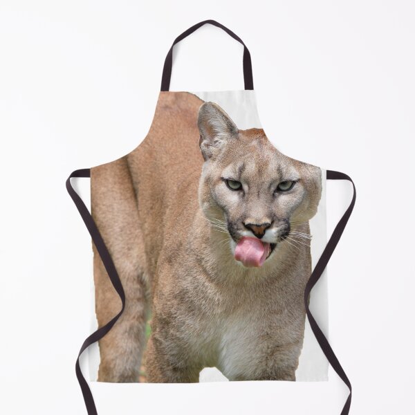 Item preview, cougar puma mountain lion designed and sold by David-Howells.