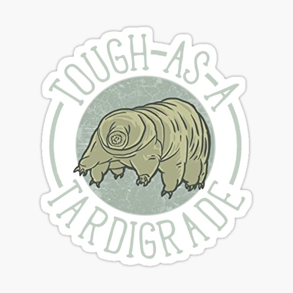 Item preview, Funny Science Shirt Gift- Tardigrade Biology for Women Men designed and sold by Anna0908.