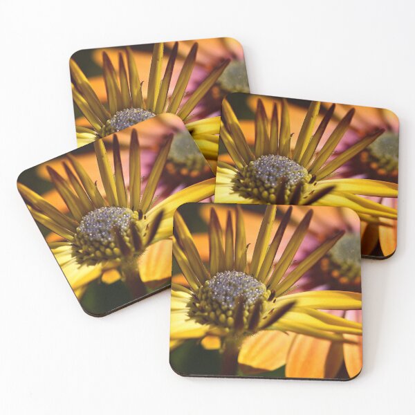 Item preview, Flowers (MKW-F.29) designed and sold by Katrina Morgan.