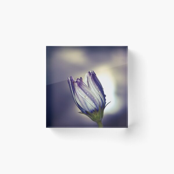 Item preview, Flowers (MKW-F.15) designed and sold by Katrina Morgan.