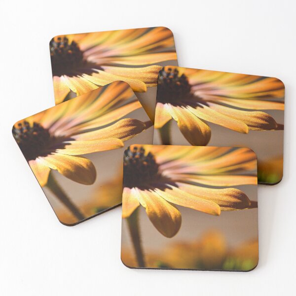 Item preview, Flowers (MKW-F.10) designed and sold by Katrina Morgan.