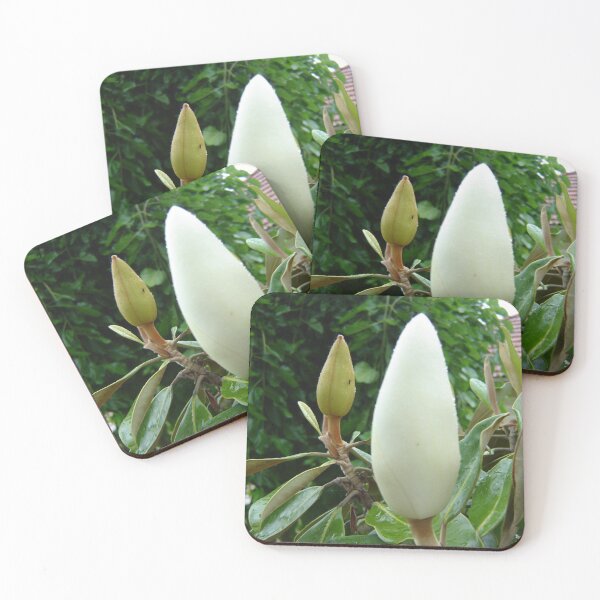 Item preview, Buds with Bug designed and sold by KazM.