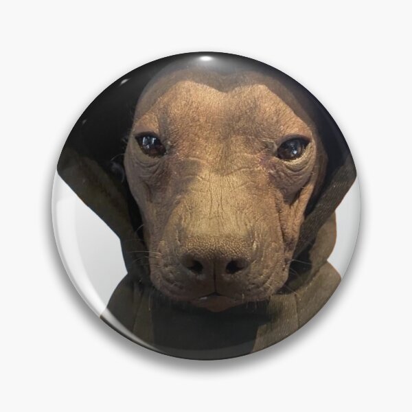 Item preview, Xolo phone home designed and sold by Xolo-Rescue.