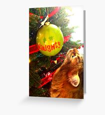 Mesmerized Naughty Cat And The Christmas Tree Greeting Card