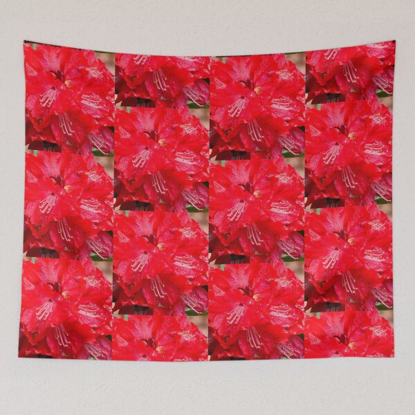 Item preview, Rhododendron - Radiant in Red designed and sold by imaginethis.