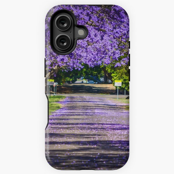 Item preview, Jacaranda Magic, taken in Grafton, NSW, Australia designed and sold by Kim Austin.