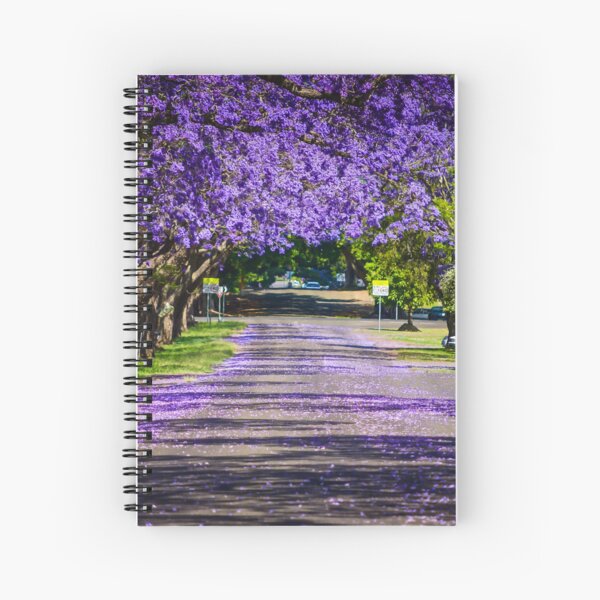Item preview, Jacaranda Magic, taken in Grafton, NSW, Australia designed and sold by Kim Austin.