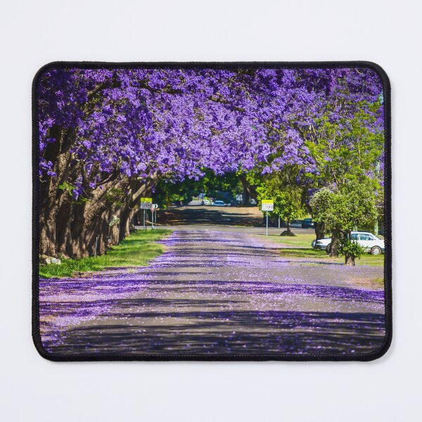 Item preview, Jacaranda Magic, taken in Grafton, NSW, Australia designed and sold by Kim Austin.