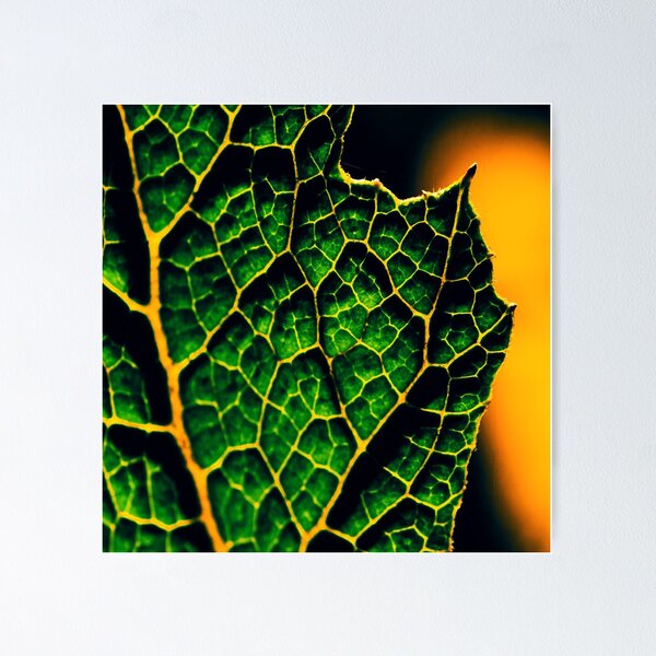 Item preview, Leafy (MKW-P.9) designed and sold by Katrina Morgan.