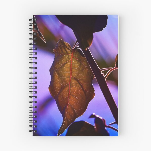 Item preview, Leafy Blue (MKW-P.10) designed and sold by Katrina Morgan.