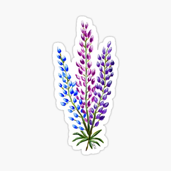Item preview, Nova Scotia Lupine Bouquet designed and sold by M.E.Mackenzie Art.