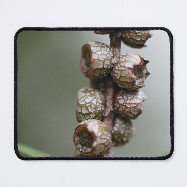 Item preview, Gum Nut Babies designed and sold by Kate Harrison.