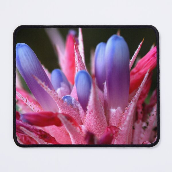 Item preview, bromeliad flowers designed and sold by Kate Harrison.