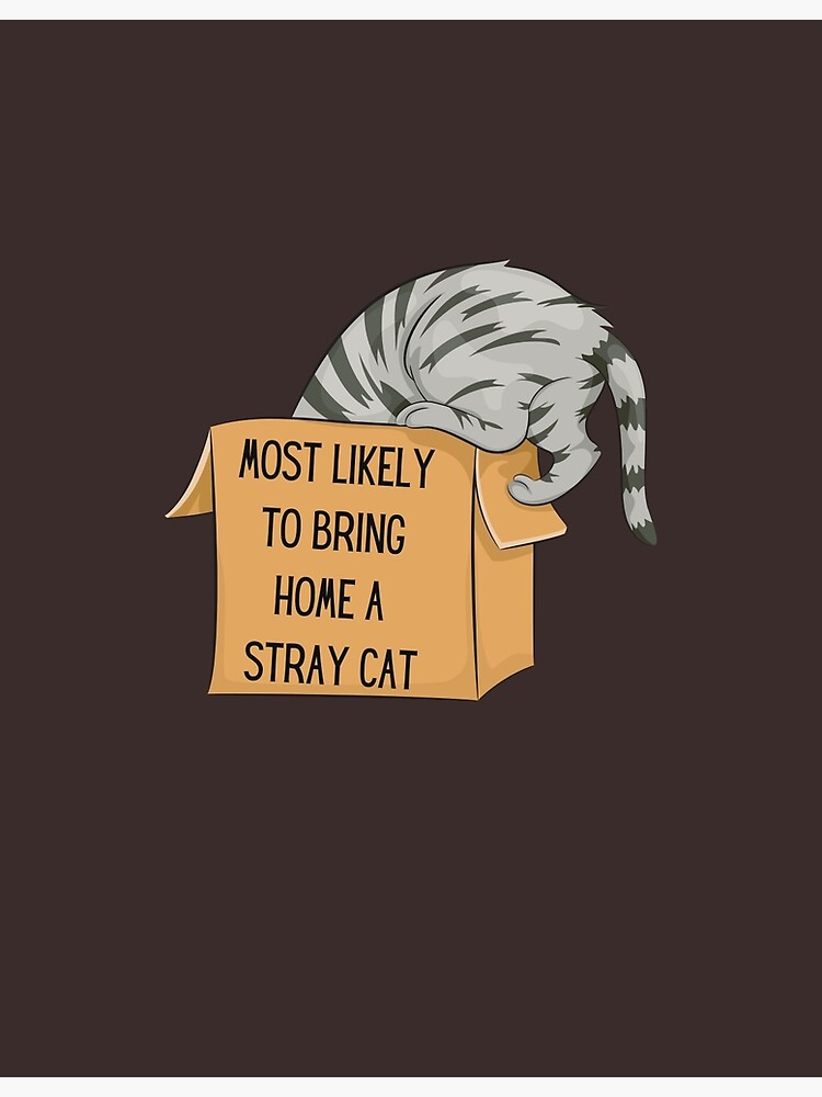 most-likely-to-bring-home-a-stray-cat-award-cat-box-poster-for-sale