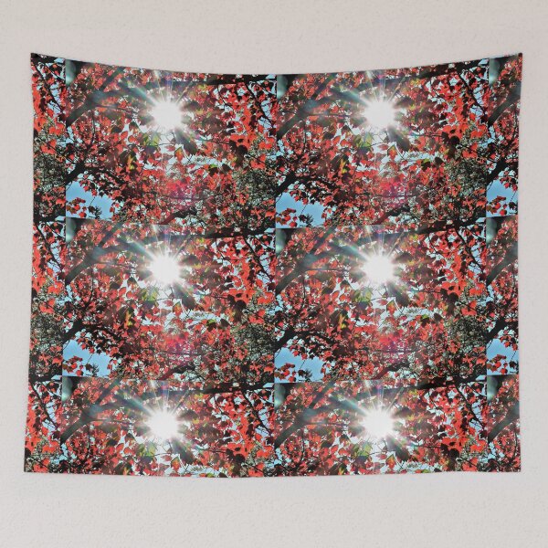 Item preview, LIGHT & LEAVES - Canadian Maple  designed and sold by TAMalloyPhoto.