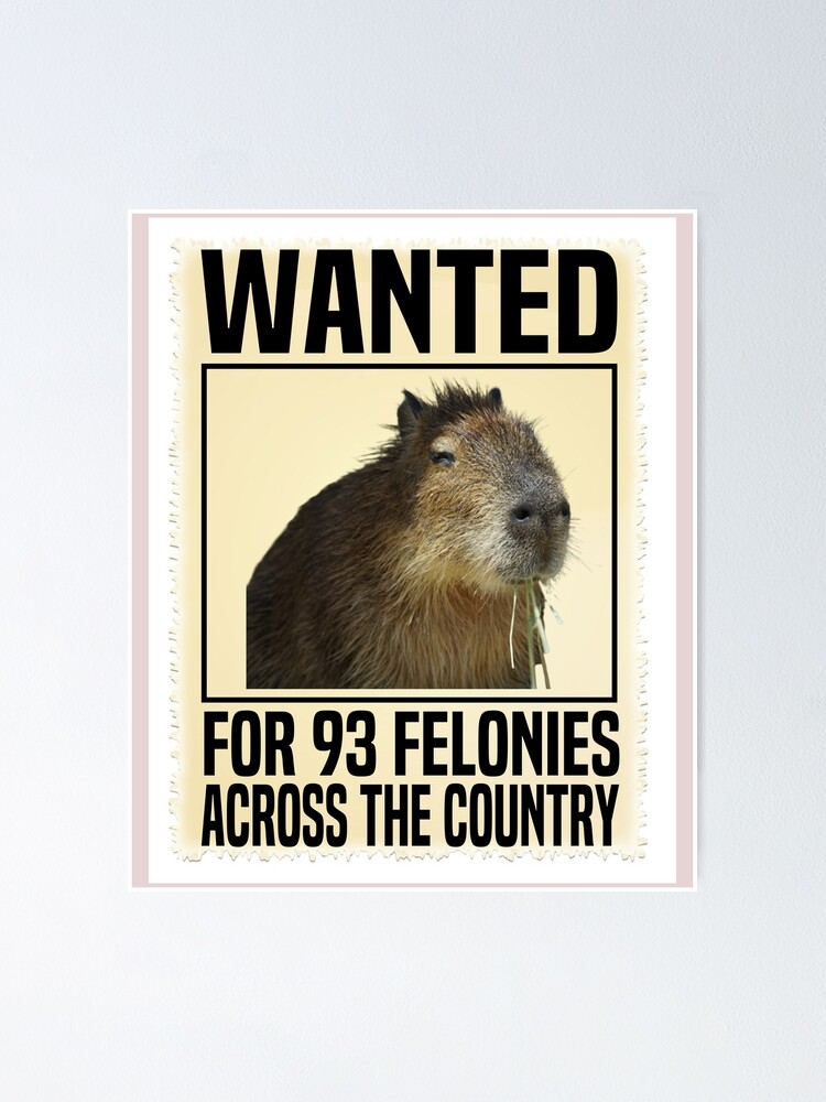 Funny Capybara Mugshot Wanted For 93 Felonies Across The Country