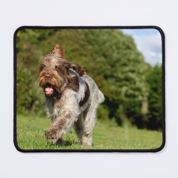 Item preview, Running in Summer Spinone by heidiannemorris designed and sold by FOLK ART FUSION by heidiannemorris.