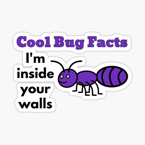 cool-bug-facts-meme-i-m-inside-your-walls-sticker-for-sale-by