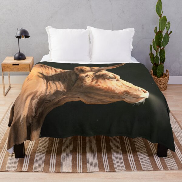 Item preview, Betizu Cattle designed and sold by alandodrawing.