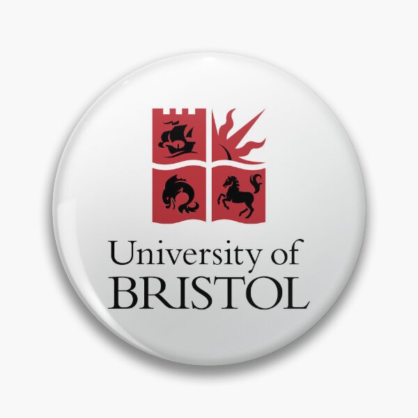 Aperçu de l'œuvre Université de Bristol créée et vendue par Zas9.