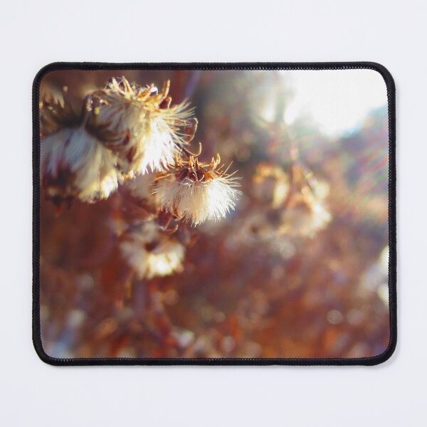 Item preview, December Fluffs designed and sold by Nathan Gruber.