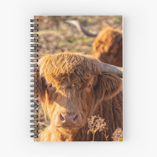 Item preview, Highland Cow designed and sold by LenBrook.
