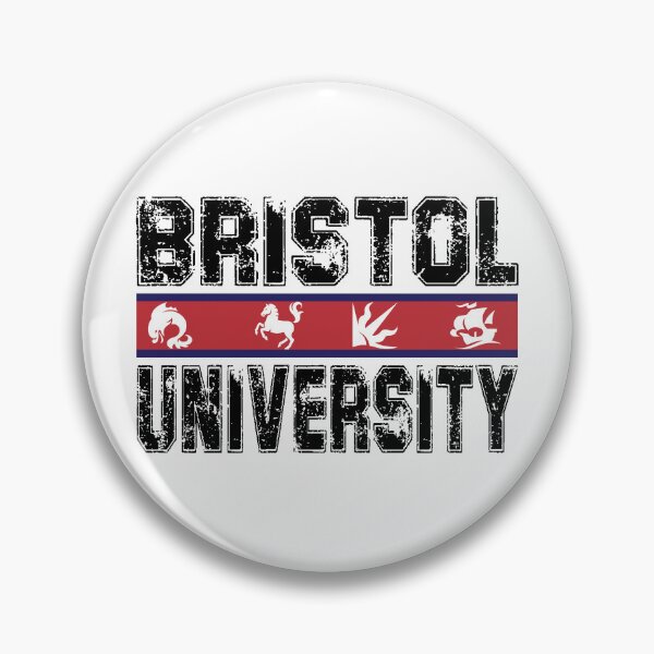 Aperçu de l'œuvre Université de Bristol créée et vendue par Zas9.