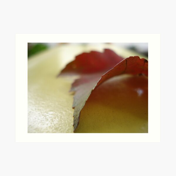 Leaf it as it is Art Print