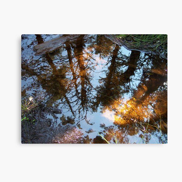 Into The Looking Glass Canvas Print